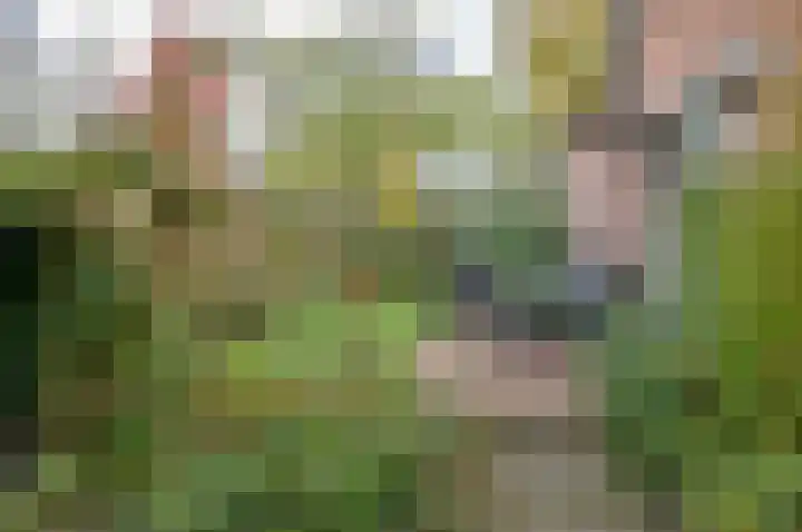 Dr W C H Staringstraat 21 Vorden thumbnail 7