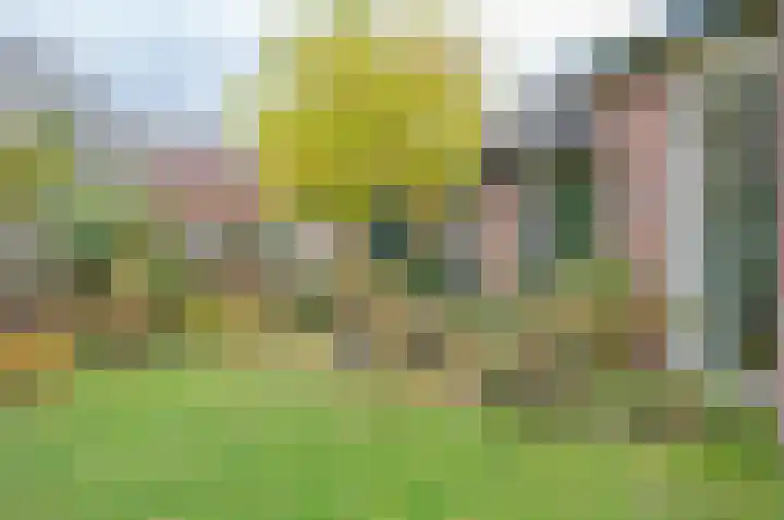 Dr W C H Staringstraat 21 Vorden thumbnail 8