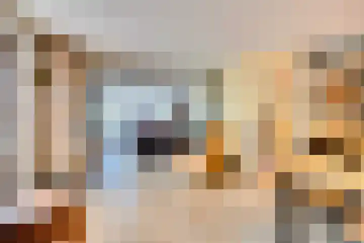 Dr.W.Dreeslaan 10 Goes thumbnail 15