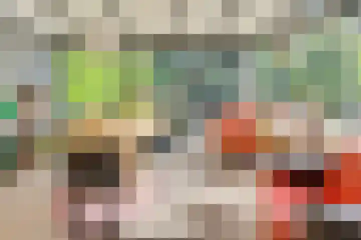 Dr.W.Dreeslaan 10 Goes thumbnail 19