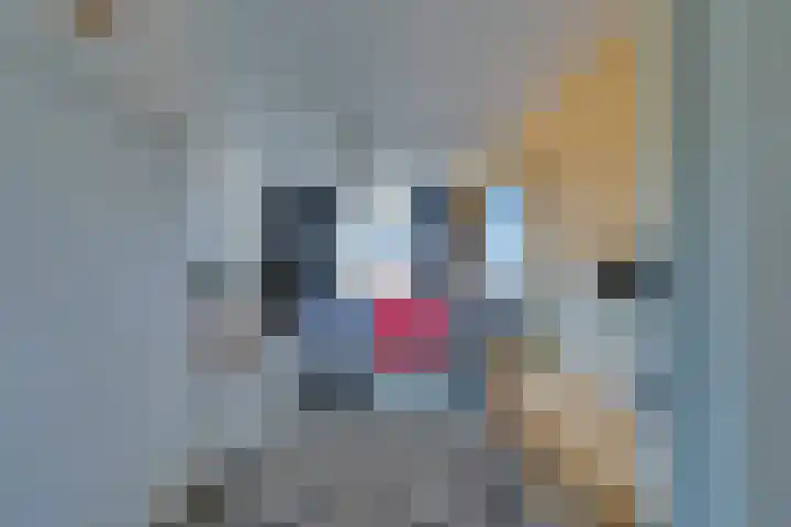 Dr.W.Dreeslaan 10 Goes thumbnail 31
