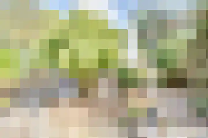Dr.W.Dreeslaan 10 Goes thumbnail 44