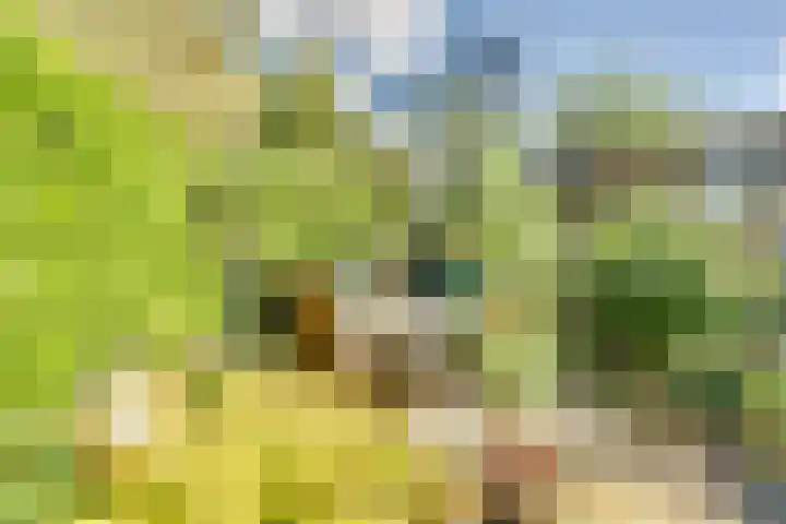 Dr.W.Dreeslaan 10 Goes thumbnail 47