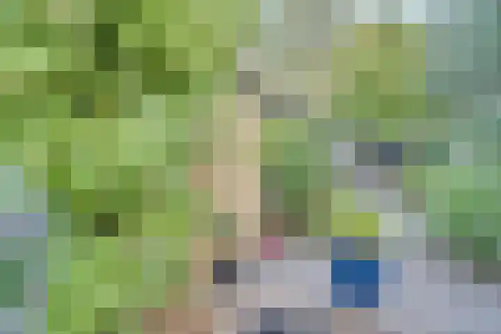 Dr.W.Dreeslaan 10 Goes thumbnail 56