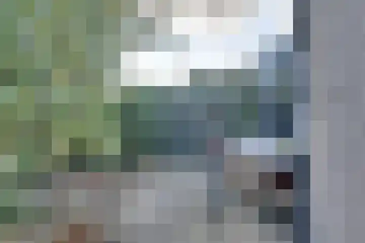 Dr.W.Dreeslaan 10 Goes thumbnail 58