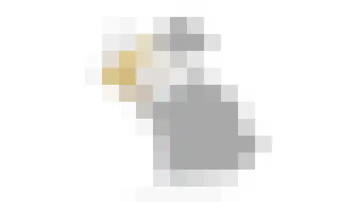 Dr.W.Dreeslaan 10 Goes thumbnail 67