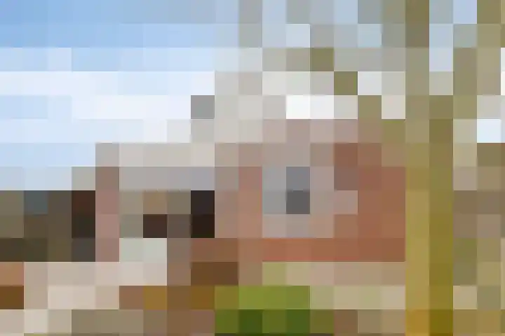 Dr.W.Dreeslaan 28 Goes thumbnail 36