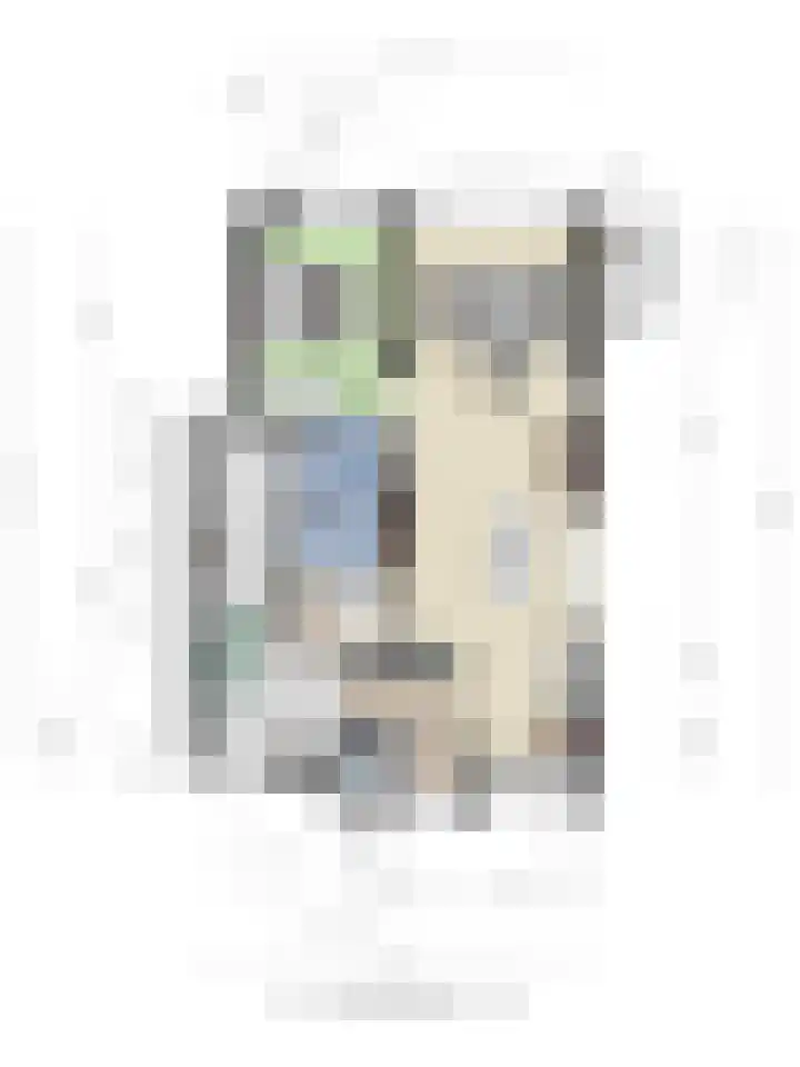 Dr.W.Dreeslaan 28 Goes thumbnail 39