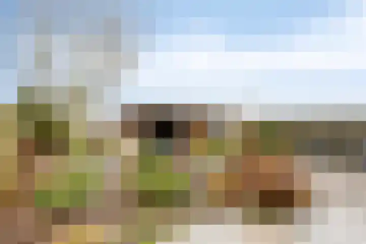 Dr.W.Dreeslaan 28 Goes thumbnail 4