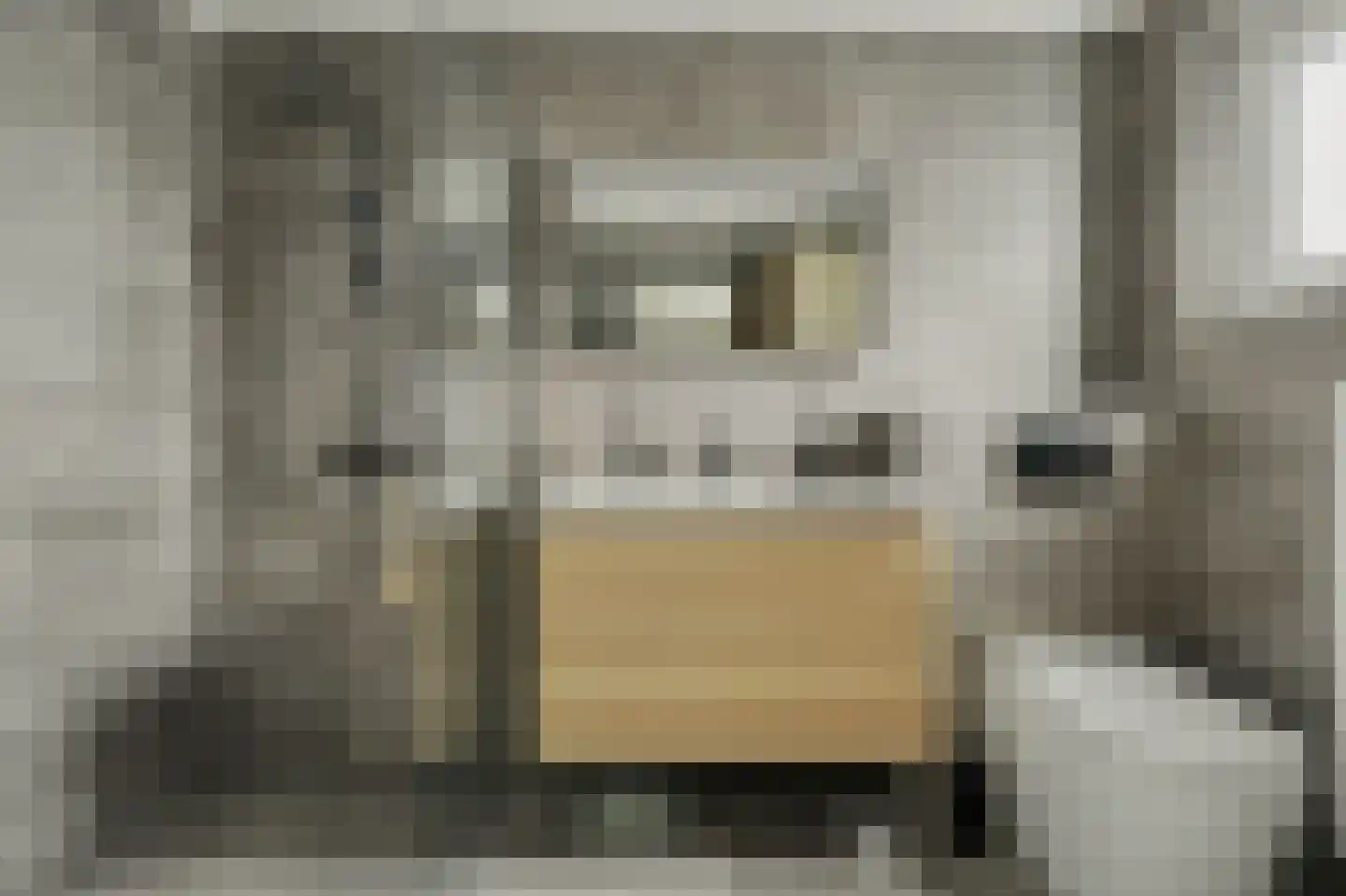 Dr.W.Dreeslaan 29 Goes thumbnail 15