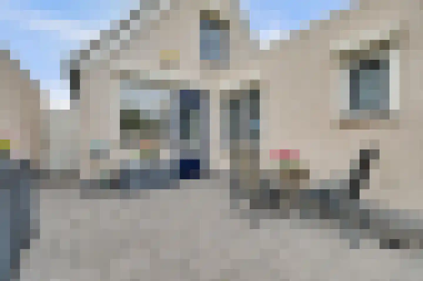 Dr.W.Dreeslaan 29 Goes thumbnail 26