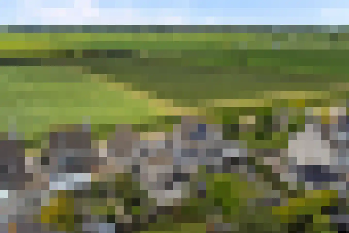 Dr.W.Dreeslaan 29 Goes thumbnail 31