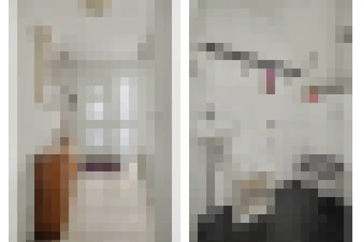 Dr.W.Dreeslaan 29 Goes thumbnail 4