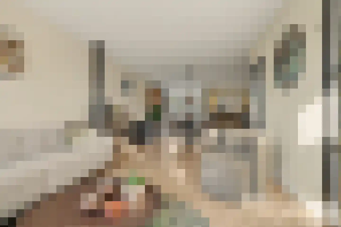 Dr.W.Dreeslaan 9 Goes thumbnail 10