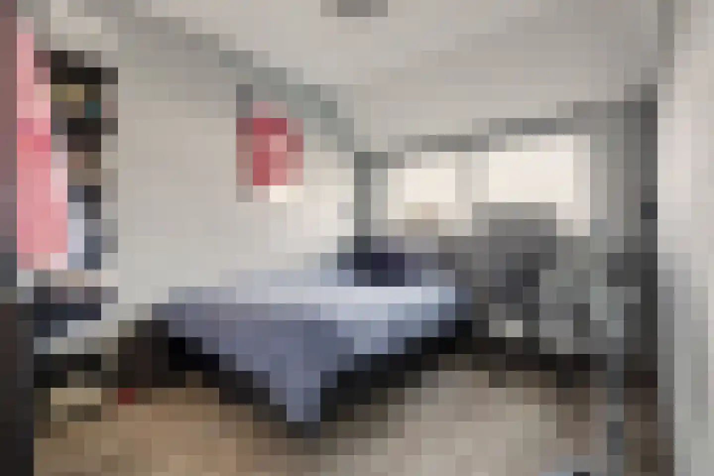 Dr.W.Dreeslaan 9 Goes thumbnail 13