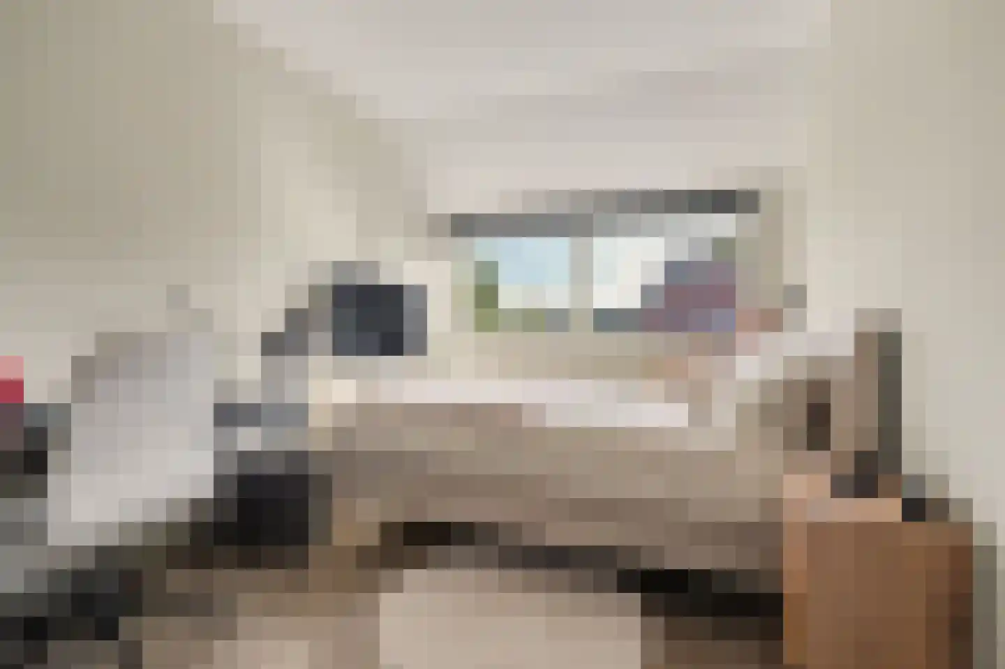 Dr.W.Dreeslaan 9 Goes thumbnail 15