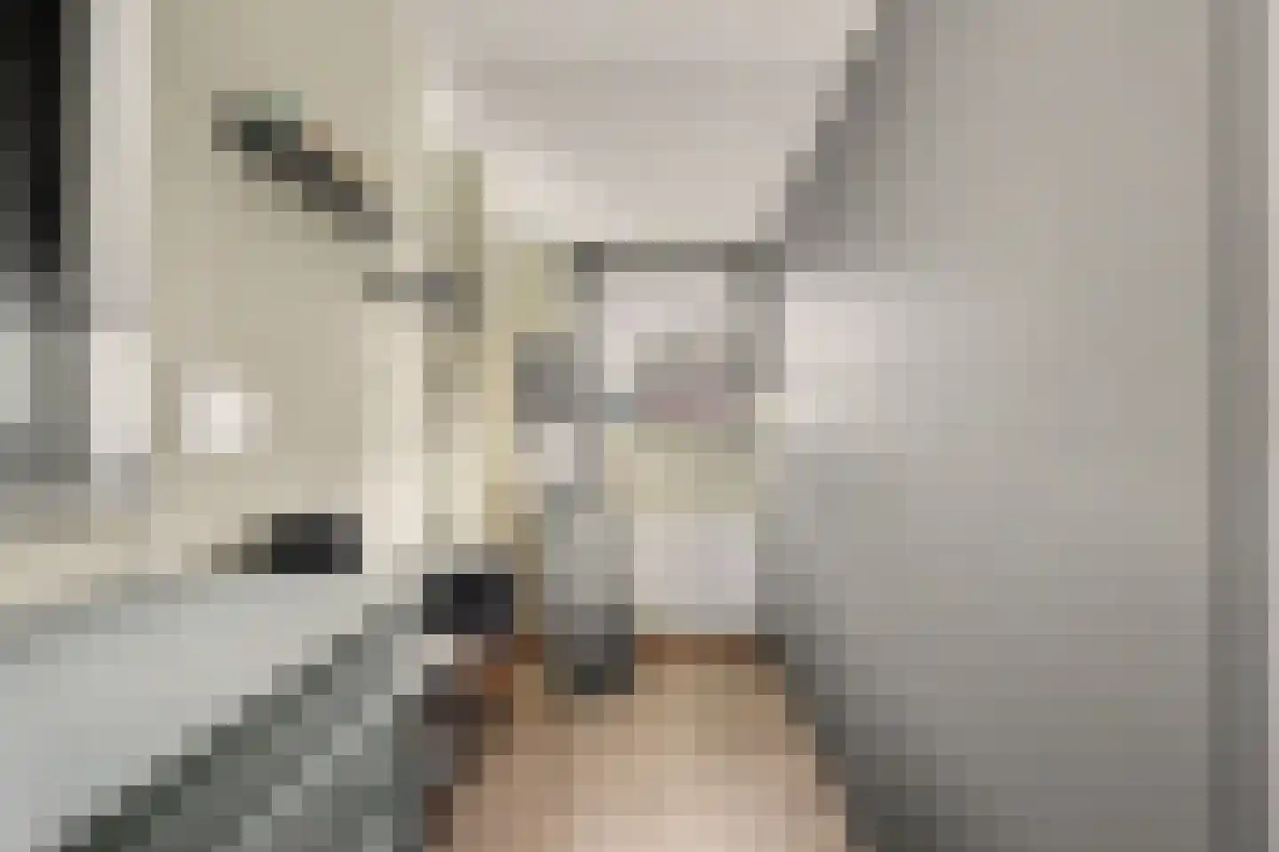 Dr.W.Dreeslaan 9 Goes thumbnail 16