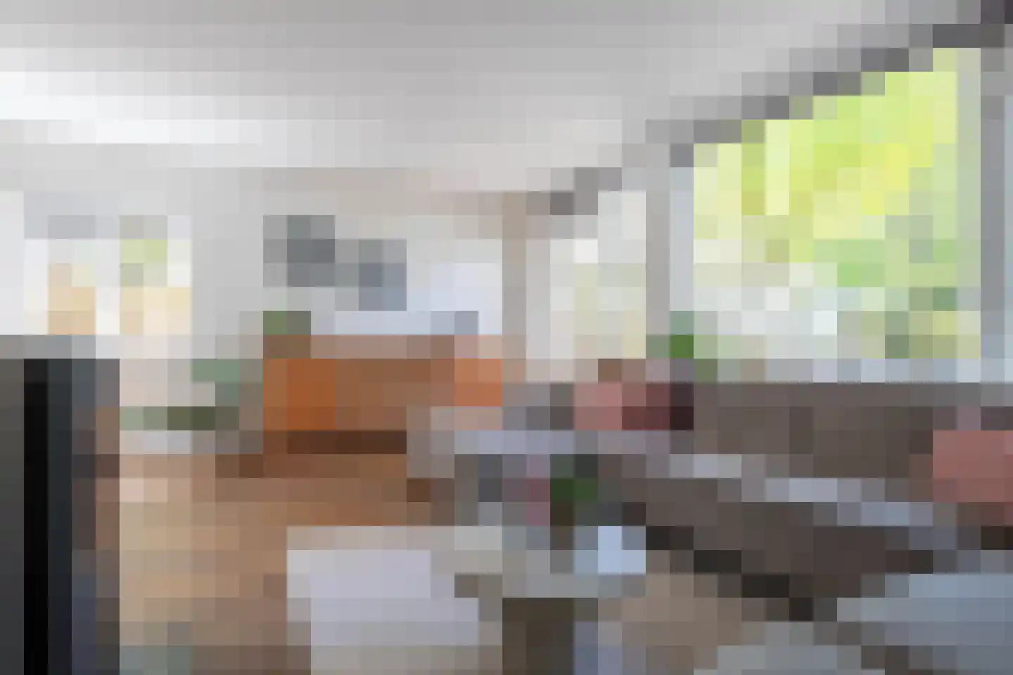 Dr. W. Dreesstraat 1 Gorinchem thumbnail 5