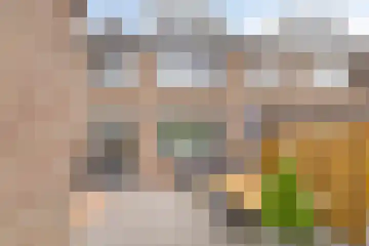 Dr W Dreesstraat 21 Zuidland thumbnail 16