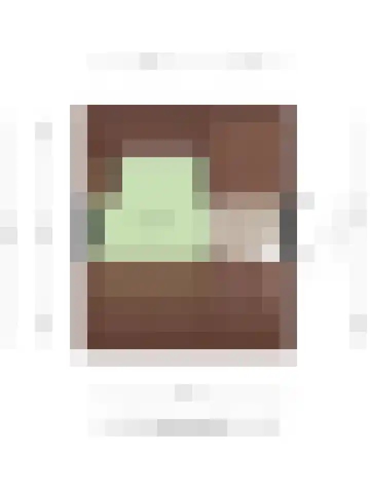 Dr W Dreesstraat 21 Zuidland thumbnail 31