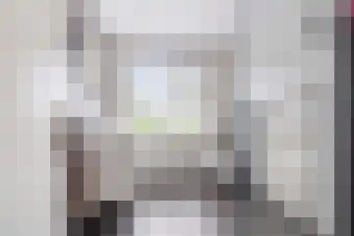 Dr W Dreesstraat 21 Zuidland thumbnail 4