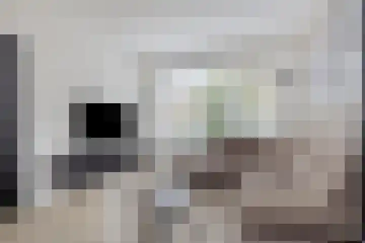 Dr W Dreesstraat 21 Zuidland thumbnail 8