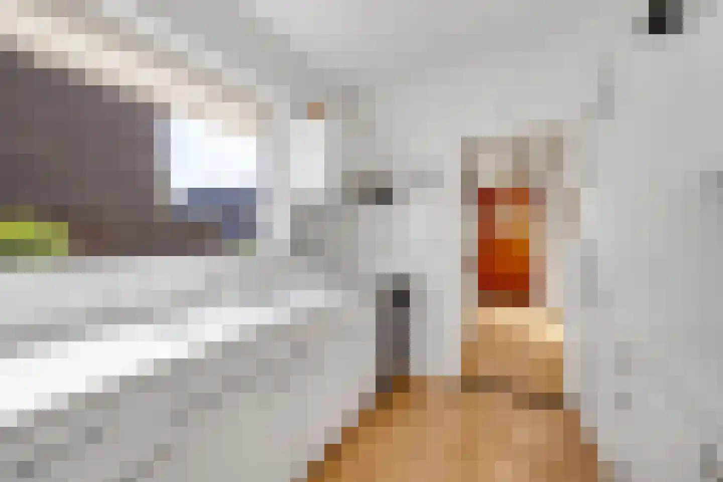 Dr W Dreesstraat 30 Zuidland thumbnail 14