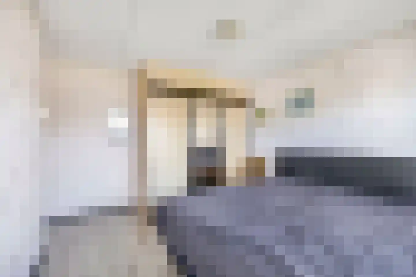Dr W Dreesstraat 30 Zuidland thumbnail 20