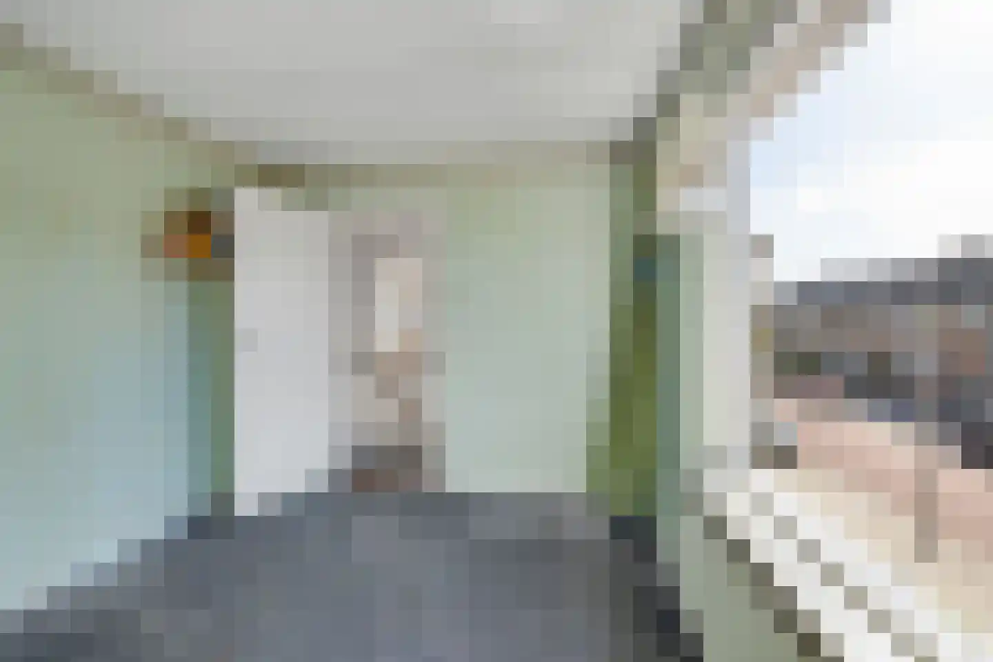 Dr W Dreesstraat 30 Zuidland thumbnail 25