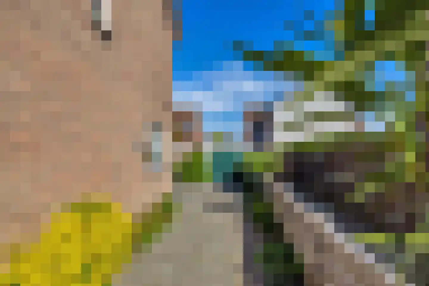 Dr W Dreesstraat 30 Zuidland thumbnail 28