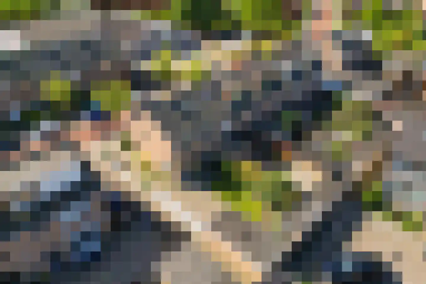 Dr W Dreesstraat 30 Zuidland thumbnail 30