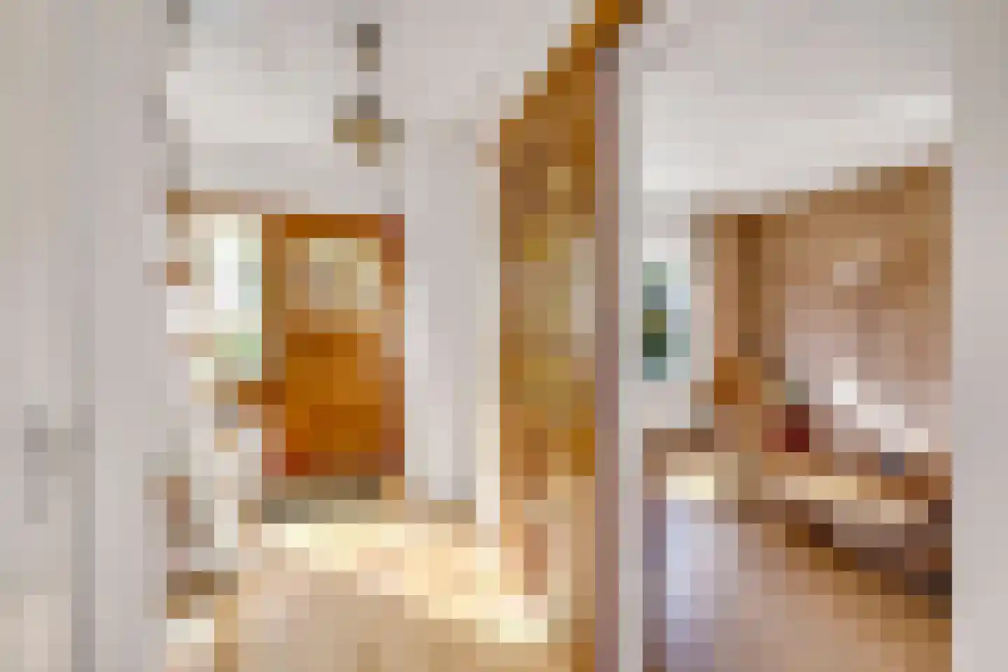 Dr W Dreesstraat 30 Zuidland thumbnail 7