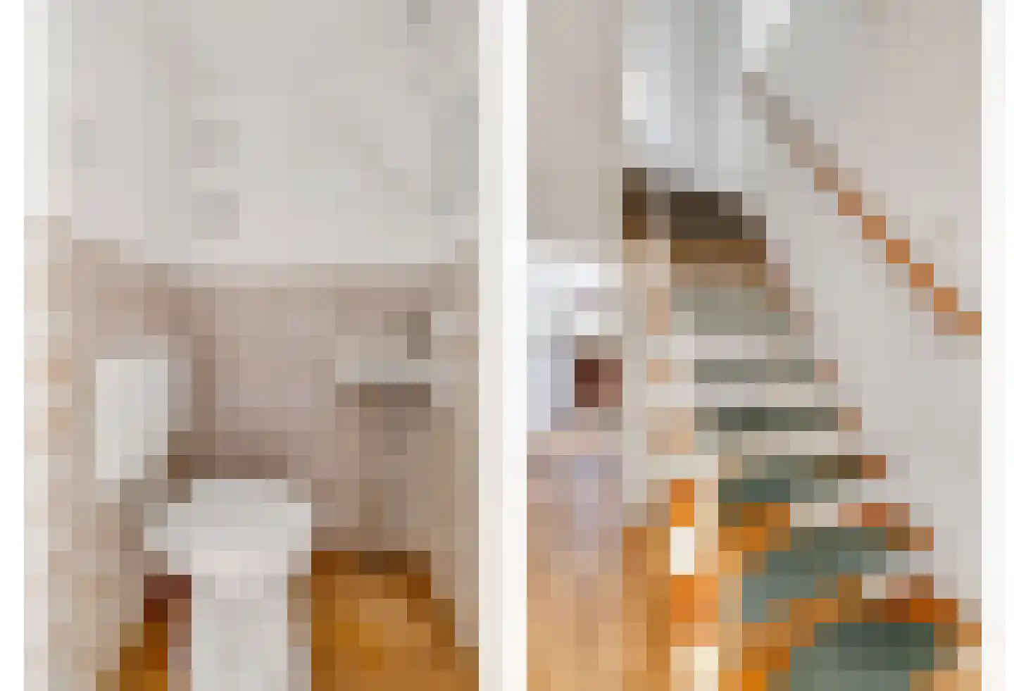 Dr W Dreesstraat 30 Zuidland thumbnail 8