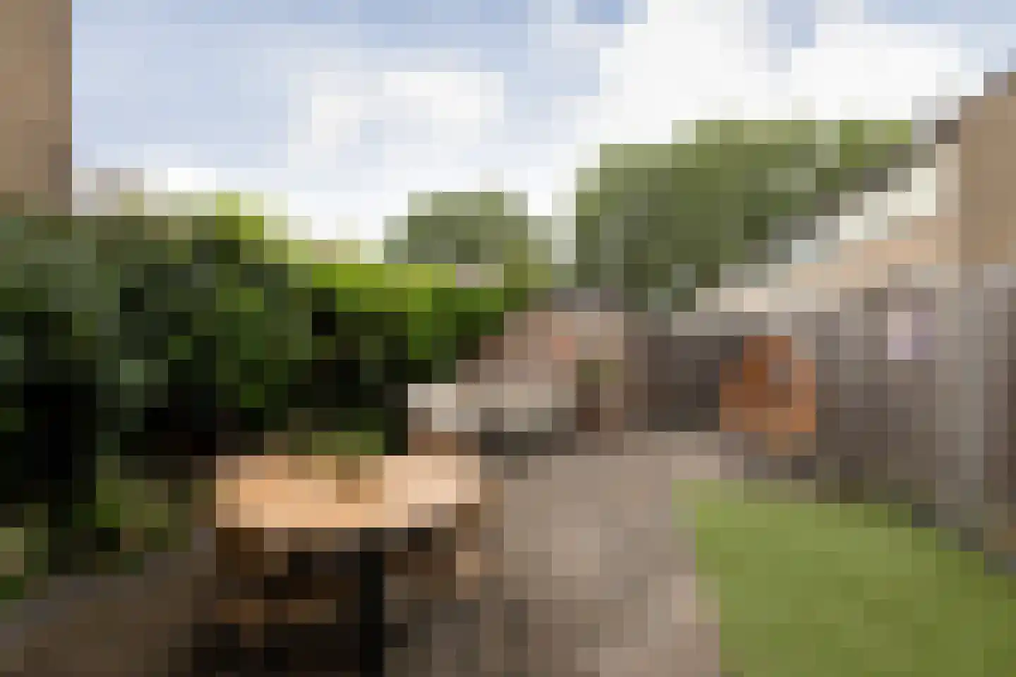 Dr. W. Dreesstraat 6 Sneek thumbnail 30