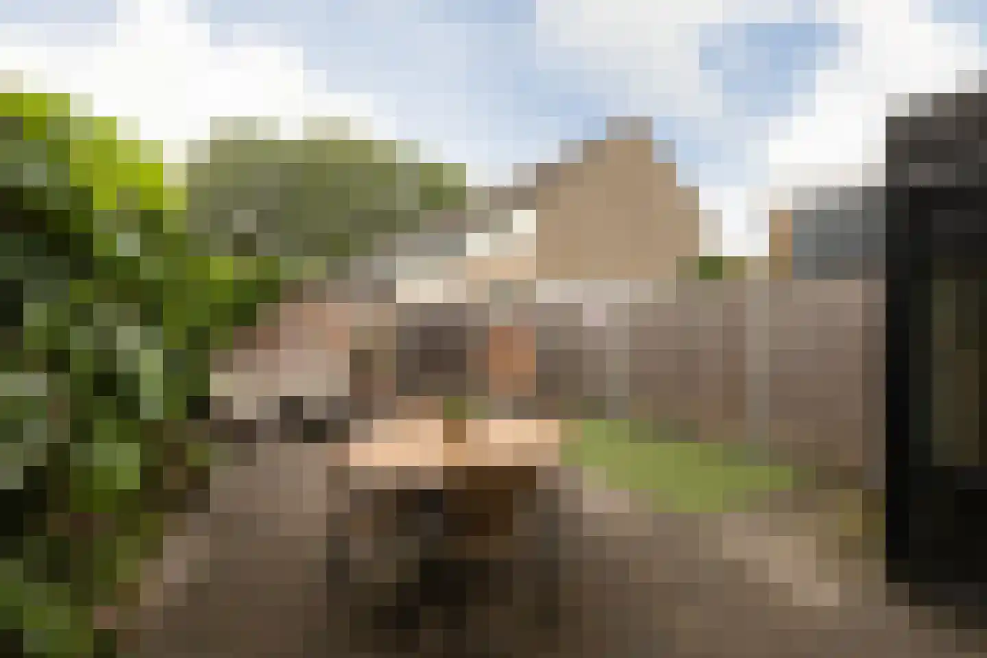 Dr. W. Dreesstraat 6 Sneek thumbnail 31