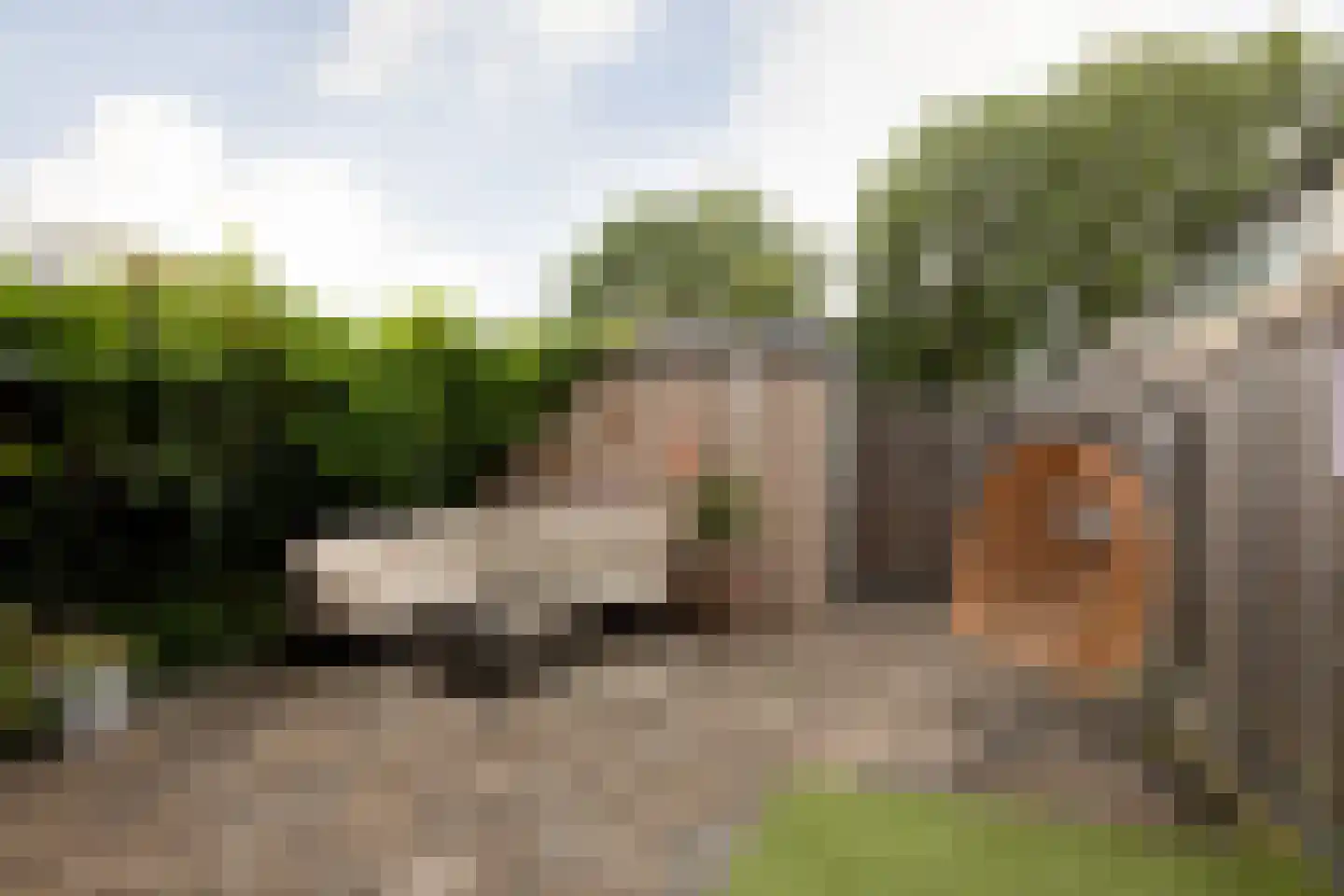 Dr. W. Dreesstraat 6 Sneek thumbnail 33