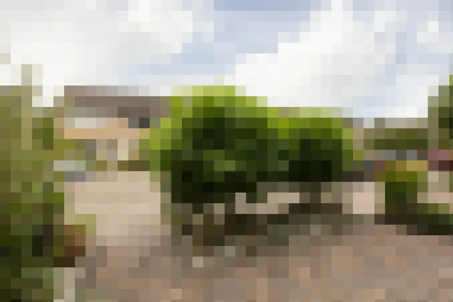Dr. W. Dreesstraat 6 Sneek thumbnail 37