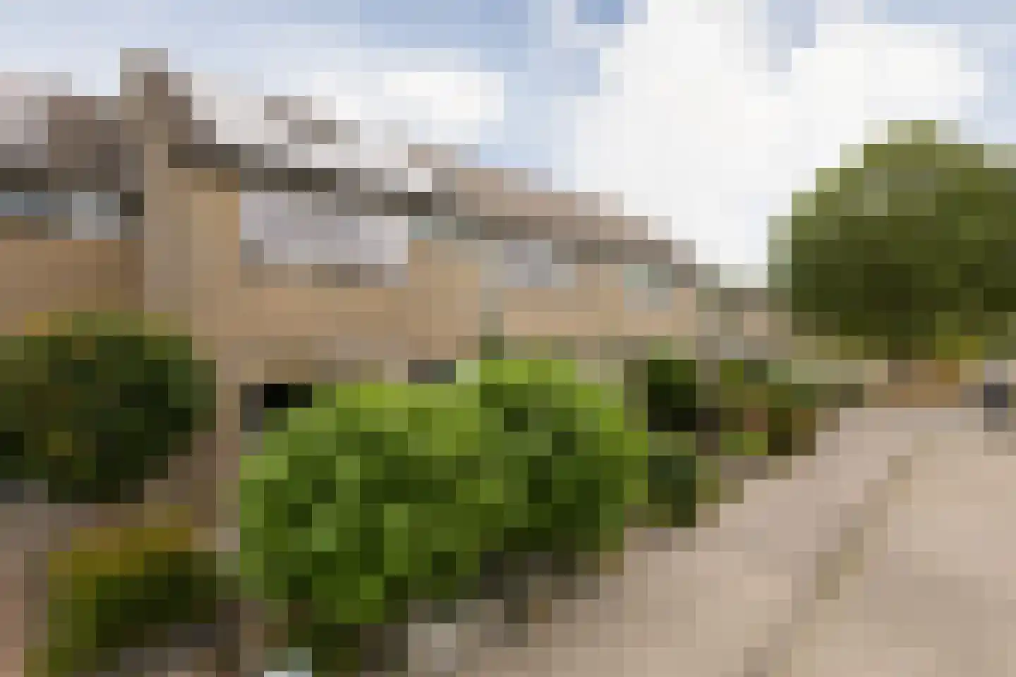 Dr. W. Dreesstraat 6 Sneek thumbnail 38