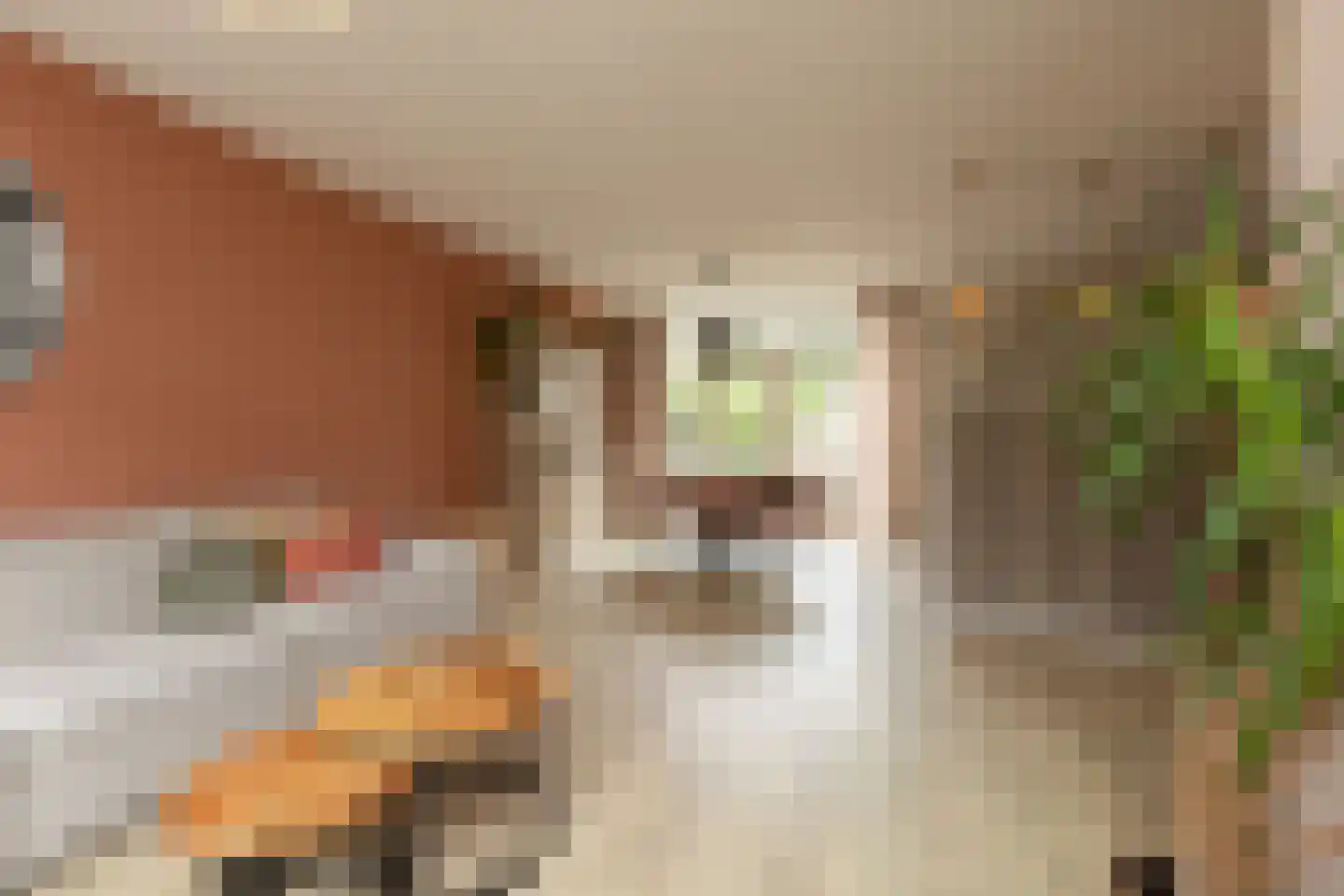 Dr. W. Dreesstraat 6 Sneek thumbnail 5