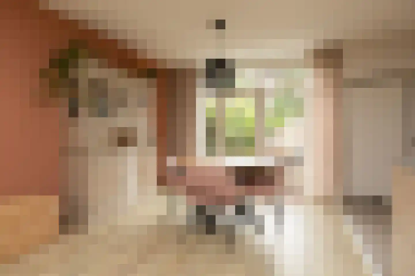 Dr. W. Dreesstraat 6 Sneek thumbnail 6