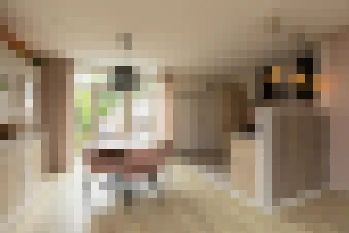 Dr. W. Dreesstraat 6 Sneek thumbnail 7