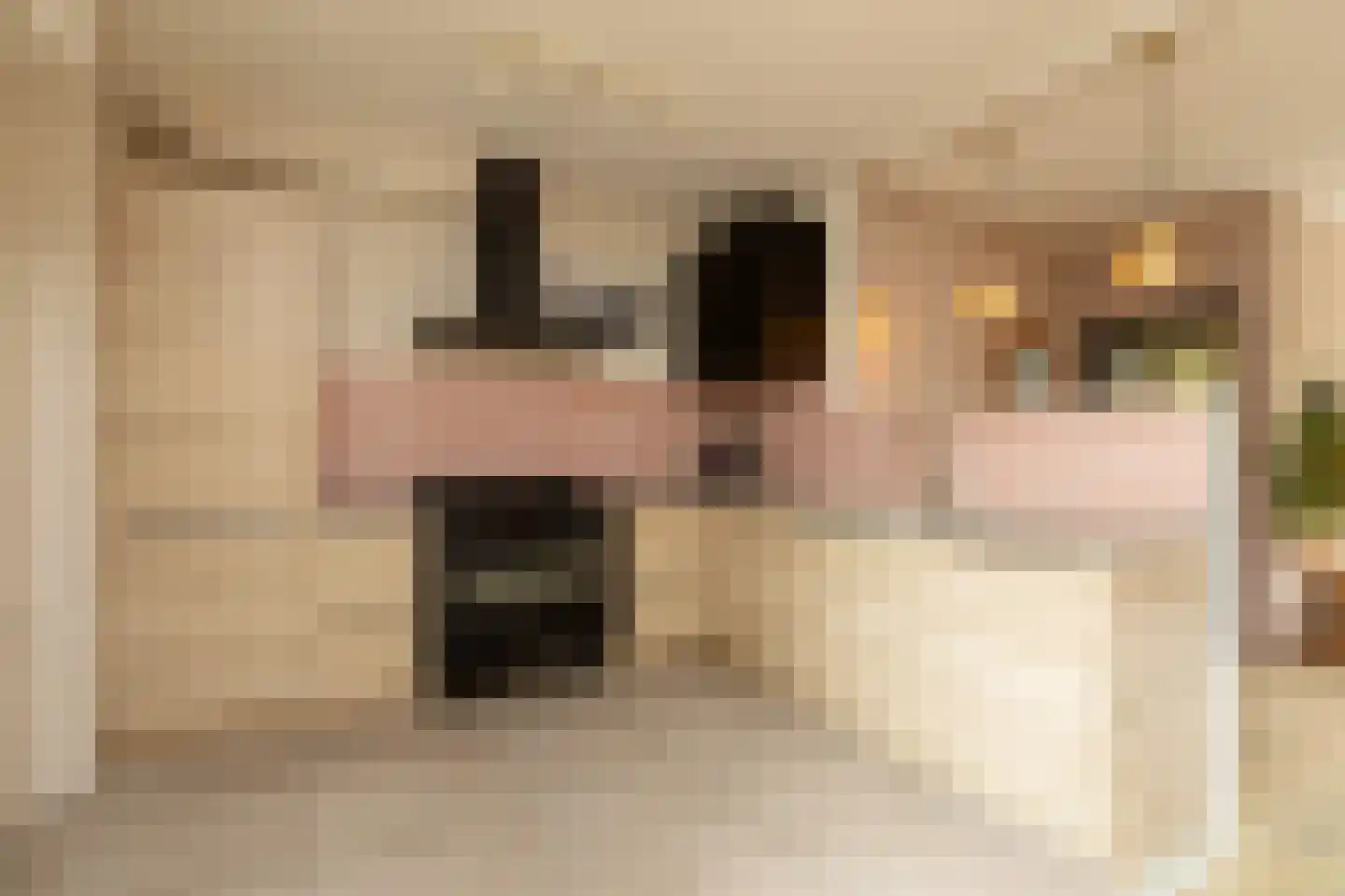 Dr. W. Dreesstraat 6 Sneek thumbnail 9