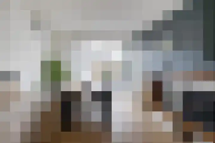 Dr. W. Kokstrjitte 2 Stiens thumbnail 10