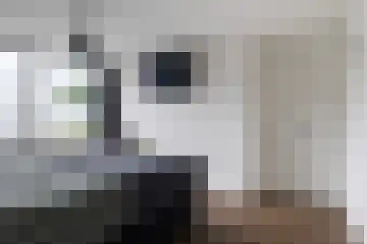 Dr. W. Kokstrjitte 2 Stiens thumbnail 20