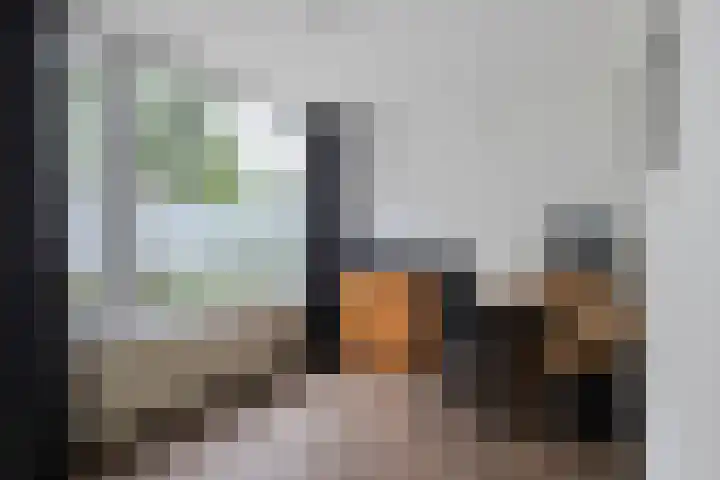 Dr. W. Kokstrjitte 2 Stiens thumbnail 21