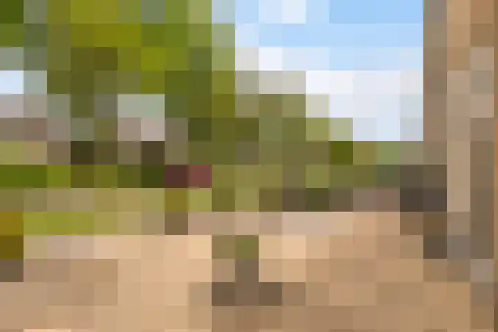 Dr. W. Kokstrjitte 2 Stiens thumbnail 36