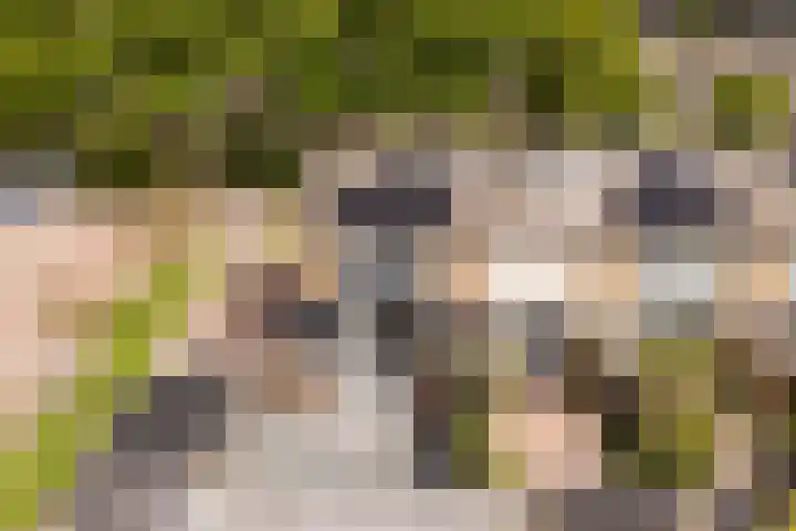 Dr. W. Kokstrjitte 2 Stiens thumbnail 39