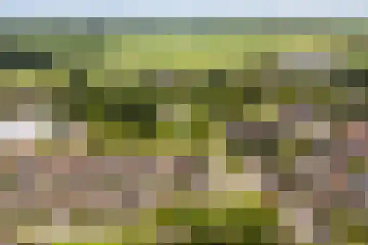 Dr. W. Kokstrjitte 2 Stiens thumbnail 40