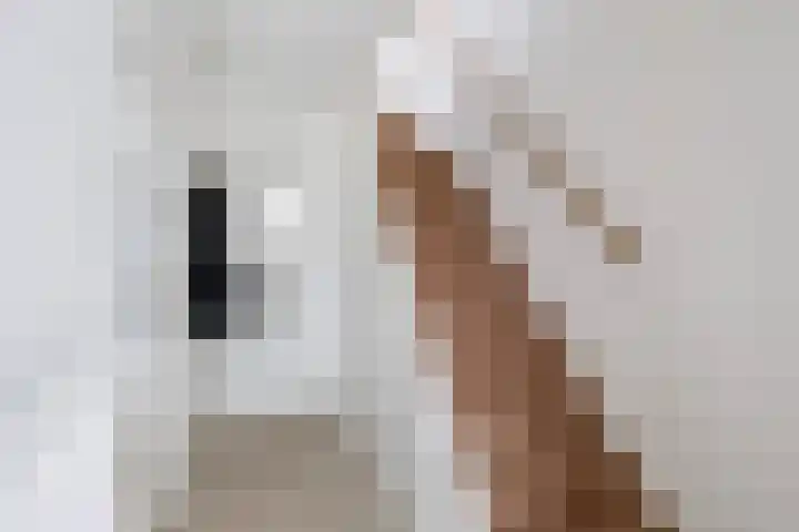 Dr. W. Kokstrjitte 2 Stiens thumbnail 7