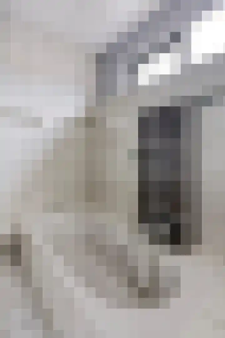 Dr. W.M. Verhaarlaan 123 Emmeloord thumbnail 18